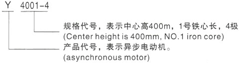 西安泰富西玛Y系列(H355-1000)高压YRKK6301-12/500KW三相异步电机型号说明